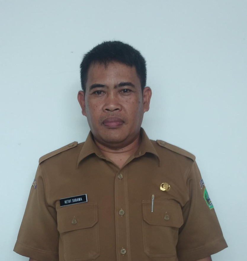 I KETUT SUBAWA, S.Si